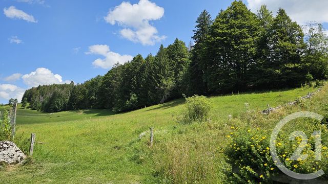 Terrain à vendre CHAUX NEUVE